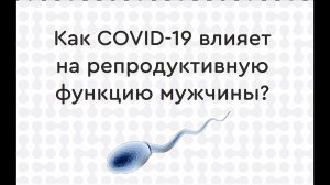 Как COVID-19 влияет на репродуктивную функцию мужчины?