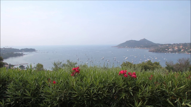 Tour_de_France_FINAL