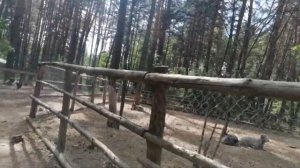 База отдыха Песчаный