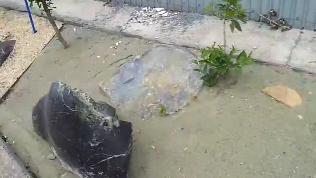 Сад камней. Очумелые ручки 74. смотреть онлайн