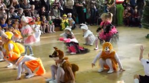 пляшут белки, пляшут зайцы