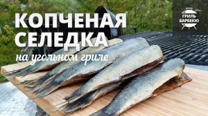 Селедка холодного копчения (рецепт для угольного гриля)