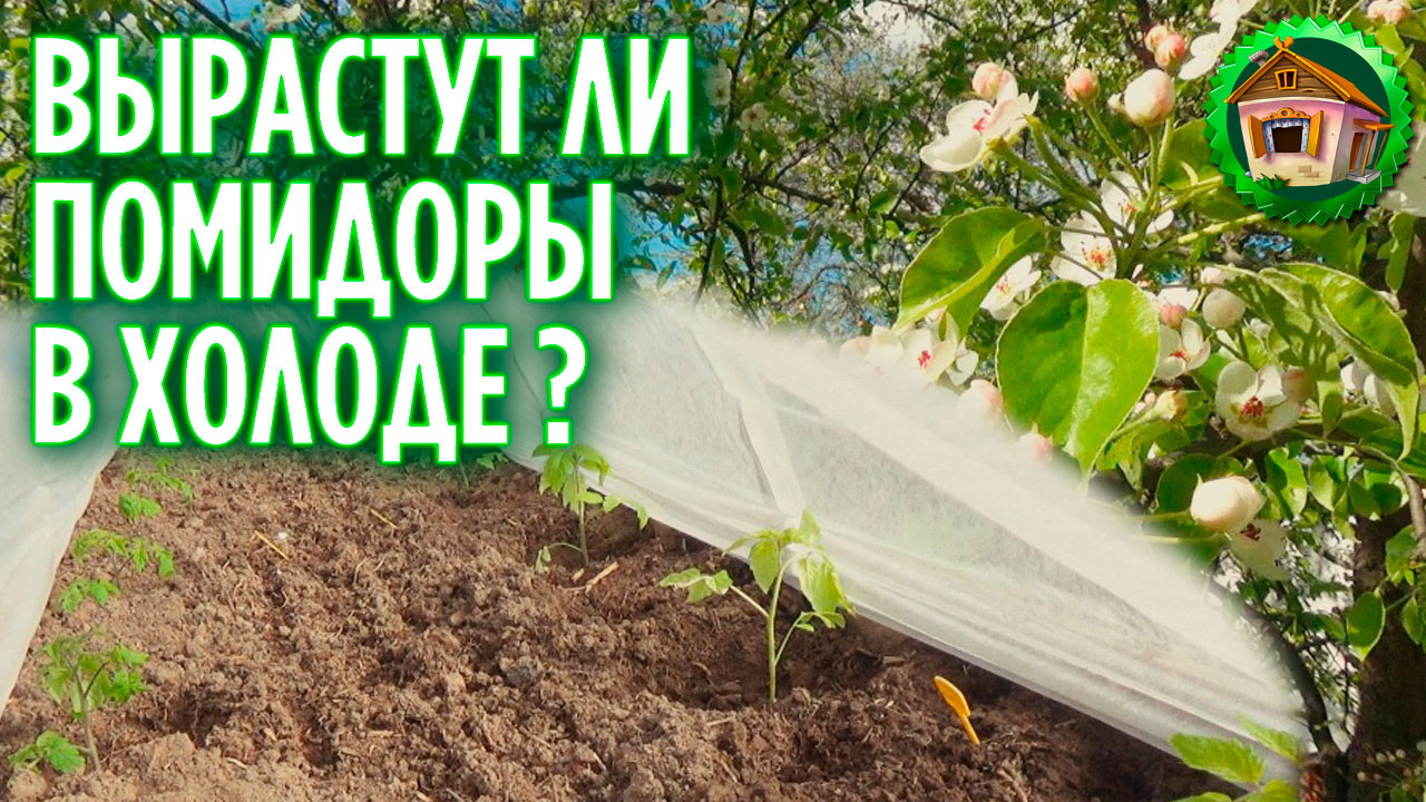 Обзор огорода в середине мая. Наделала делов в саду. 216 серия
