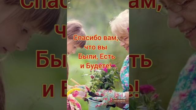 С Днём бабушек и дедушек! Поздравляю!!! ❤💐#праздник #бабушка#дедушка#внуки#октябрь#