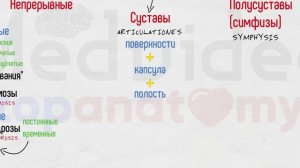 Общая артрология