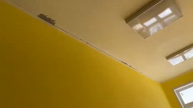 VID 20220321 WA00081 смотреть онлайн