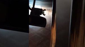 установка датчика эхолота хаммимбирд на лодку пвх ривер ботс
