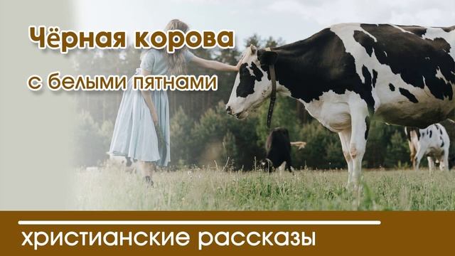 Детский христианский рассказ | Чёрная корова с белыми пятнами