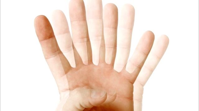 Черная мамба – грозная, ядовитая рептилия, распространённая в Африке. смотреть онлайн