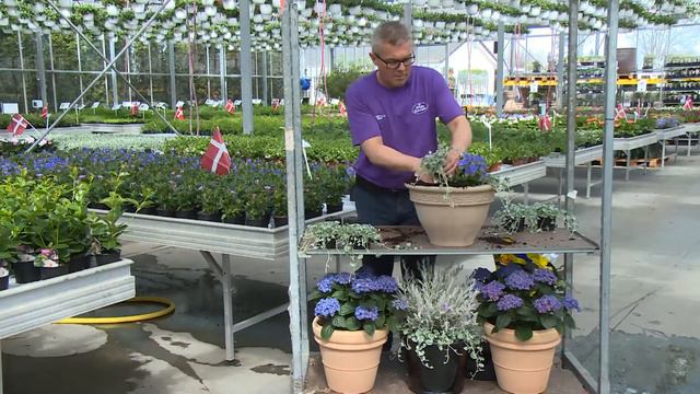 Plant din krukke med Stige Blomster смотреть онлайн