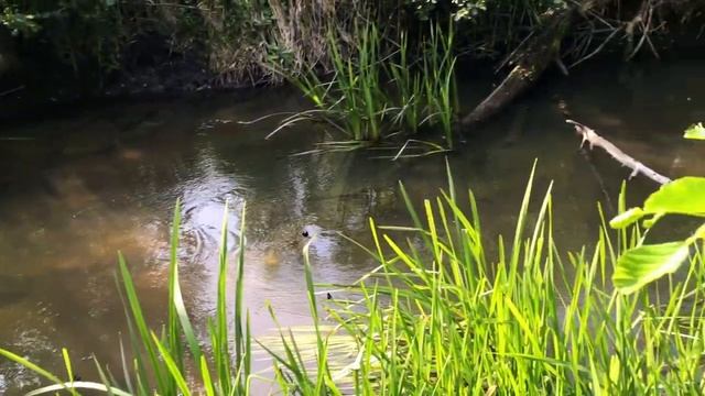 Удивительное рядом! смотреть онлайн