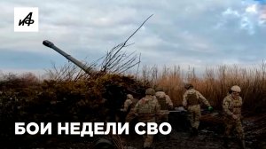 Бои недели СВО