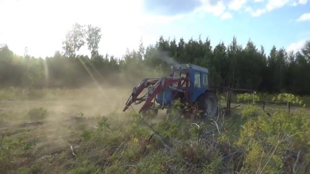 Кормлю Ос. Чуть не укусила оса. Чистим сенокос.