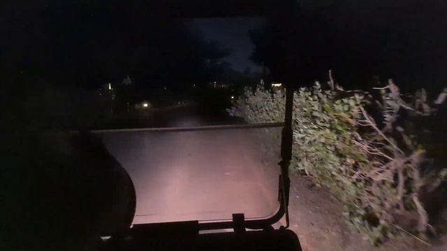 Honeymoon at JA The Resort - Palm Tree Court - Jebel Ali Dubai смотреть онлайн