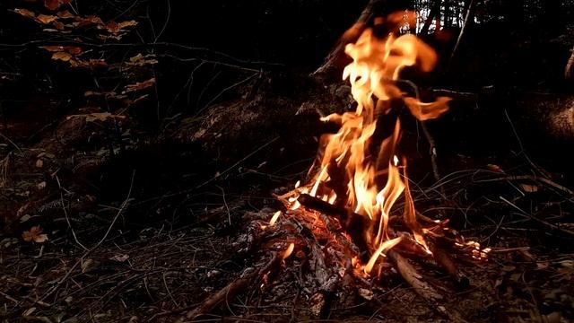 Звуки костра, слушать тишину,горящие дрова,звуки природы для сна,ночной костер в лесу смотреть онлайн
