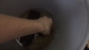 Разведение инфузории от А до Я