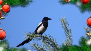 НОВОГОДНЯЯ БЫЛЬ