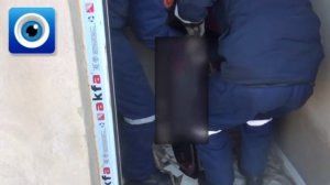 Девочка упала в туалет