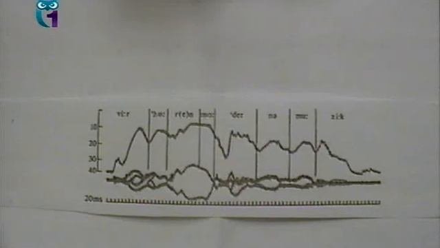 Немецкий язык: теоретическая фонетика. Лекция 2. Интонация