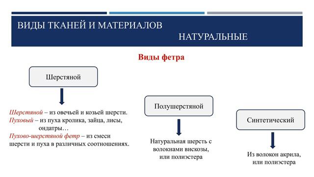 VIP-гардероб. Техпроцессы по уходу за одеждой.