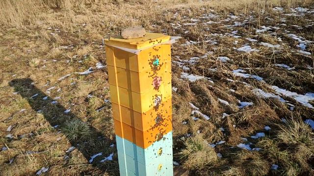 первый облёт пчёл 2020 года смотреть онлайн