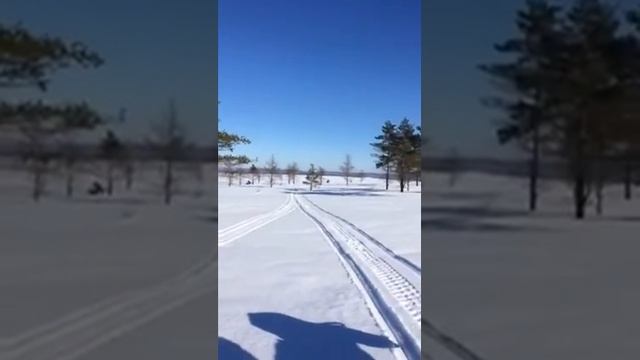 Обзор снегохода Yamaha Professional II часть 3 смотреть онлайн