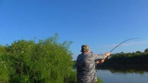 Трофейный лещ. Рыбалка на фидер на Чепце.