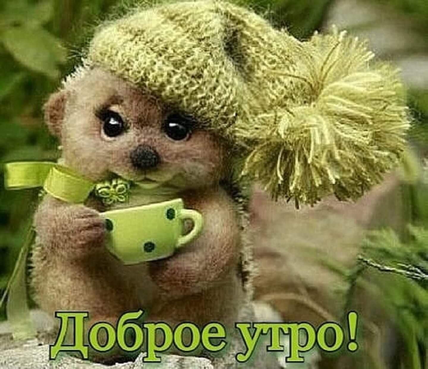 Доброе Утро! Всем Друзьям Привет!