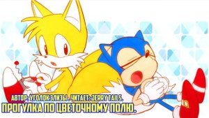 Sonic the Hedgehog/Фанфик - Прогулка По Цветочному Полю