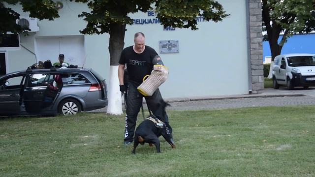 Pride of Russia SHAYTAN Attack with Aleksey Sokolov смотреть онлайн