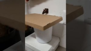 Помощница электрика