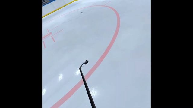 VR Hockey Reborn - Lacrosse puck pickup смотреть онлайн