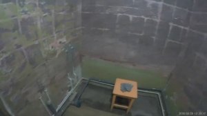 Ремонт раздельного санузла в панельном доме