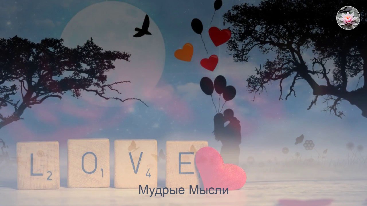 Замечательные Цитаты, Афоризмы и Высказывания о Любви смотреть онлайн