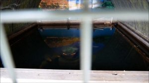 Bertha the Bunyip at Murray Bridge the floods have almost gone but Do Not Disturb Bertha yet please