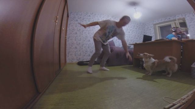 Собаки против брейк-данса смотреть онлайн