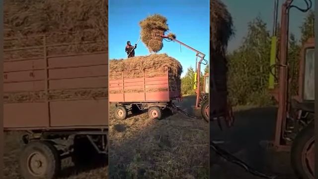 Т-25 с грейферным погрузчиком