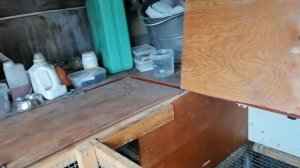 Ниппельные поилки для кроликов. Автономные кролики на даче.