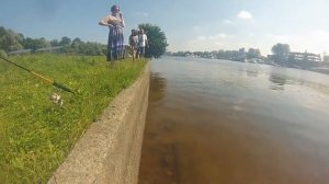 рыбалка Санкт Петербург Средняя Невка