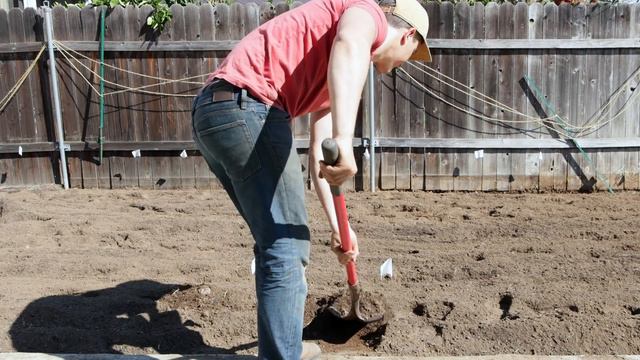 How To Turn Your Lawn Into A Vegetable Garden смотреть онлайн