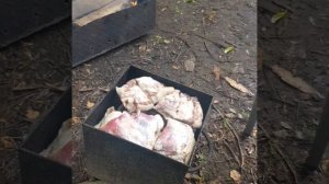 Делаем копчёное сало на яблочной стружке.