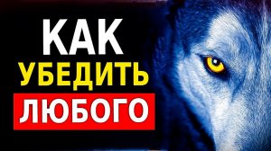 Как Убедить Кого Угодно в Чем Угодно (9 Способов Убеждать Людей)