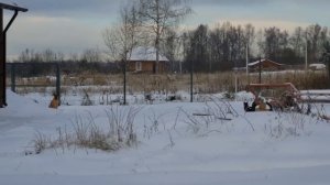 Прогулка на лыжах по хрустальному лесу и новые сокровища Совиного Дола.