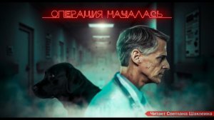 АУДИОКНИГА КОРОТКИЕ РАССКАЗЫ читает СВЕТЛАНА ШАКЛЕИНА