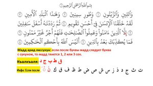 Чтение Корана по правилам таджвида: Сура Ат-Тийн