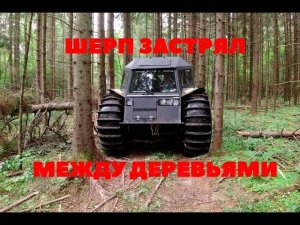 Шерп повис на дереве. Как Шерп едет по лесу? И еще немного болота...