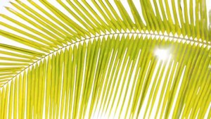 САМЫЕ КРАСИВЫЕ ПЛЯЖИ МИРА -  ТОП-5 ЛУЧШИХ КУРОРТОВ МИРА