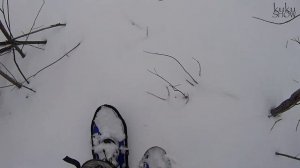 Обзор снегоступов  Потоптал снег, порассуждал