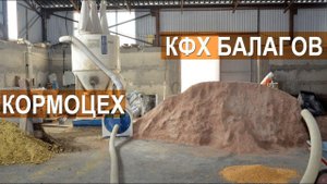 Кормоцех в КФХ Балагов. Рацион коров. Самодельные корма для КРС. Кабардино-Балкария