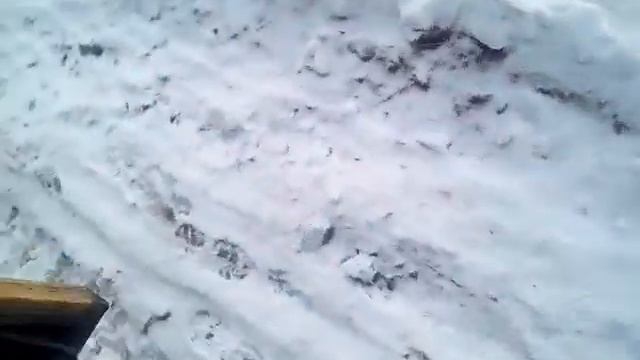 поездка в лес. ездили морозили дорогу смотреть онлайн